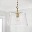 Baker 1-Light Convertible Pendant Online Sale