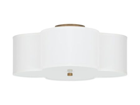 Quinn 4-Light Semi Flush Mount Hot on Sale