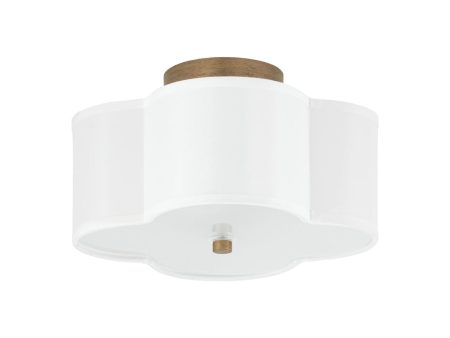 Quinn 2-Light Semi Flush Mount on Sale