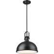 Melange 1-Light Pendant Online Sale