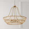 Wren 6-Light Chandelier Supply