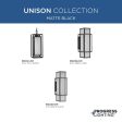 Unison 2-Light Outdoor Wall Light Sale