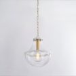 Alaina 1-Light Large Pendant For Cheap