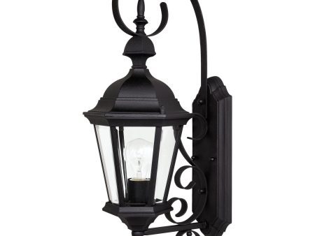 Carriage House 1-Light Outdoor Wall Lantern For Cheap