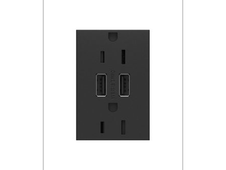 Dual USB Plus-Size Outlet Combo Online Sale