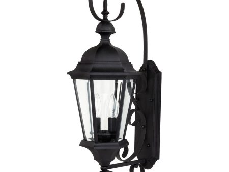 Carriage House 2-Light Outdoor Wall Lantern For Discount