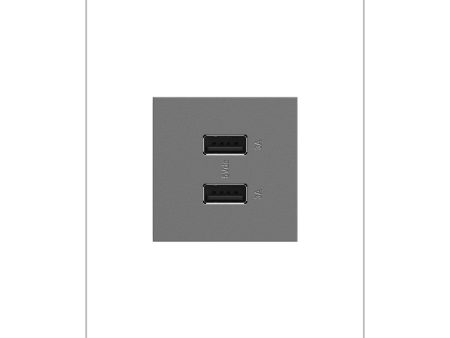 Adorne Full-Size Ultra-Fast Type A A USB Outlet Online Hot Sale