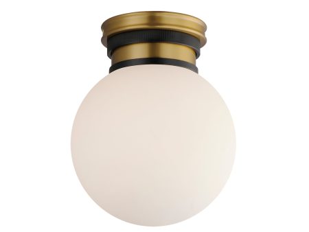 San Simeon 1-Light LED Flush Mount Online Hot Sale