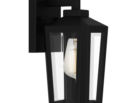 Blomfield Outdoor Wall Light Hot on Sale